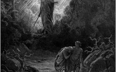 Sin and Consequences