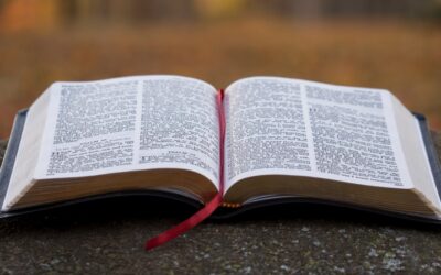 Week 46 Bible Study Notes