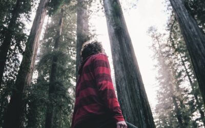 Open Heart, Open House