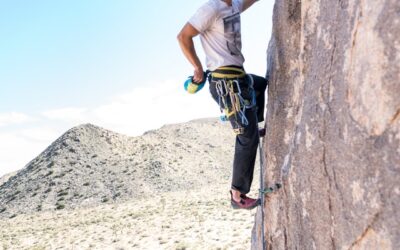 The One Necessary Thing