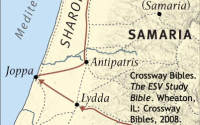 Healing, Resurrection, and Salvation, Part 2